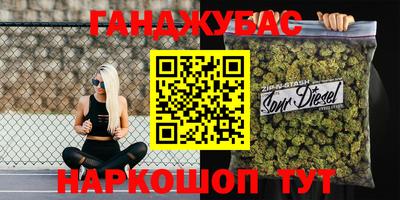 индика Пенза