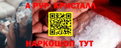 индика Пенза