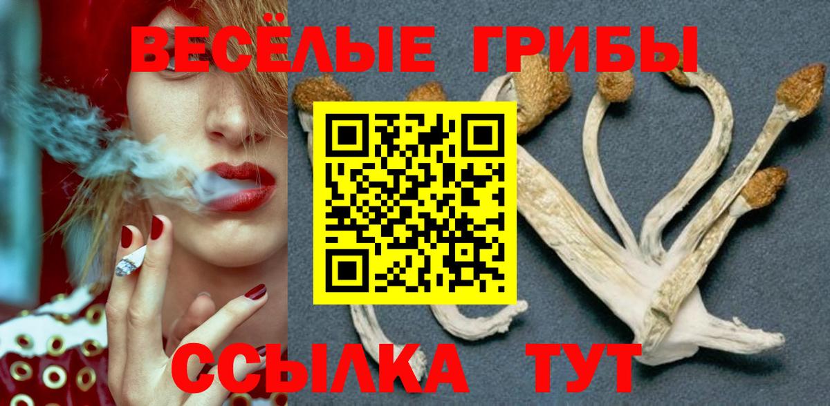 Ростов Великий  закладки  Псилоцибиновые грибы Magic Shrooms  Вход с VPN  Псилоцибиновые грибы ЛСД 